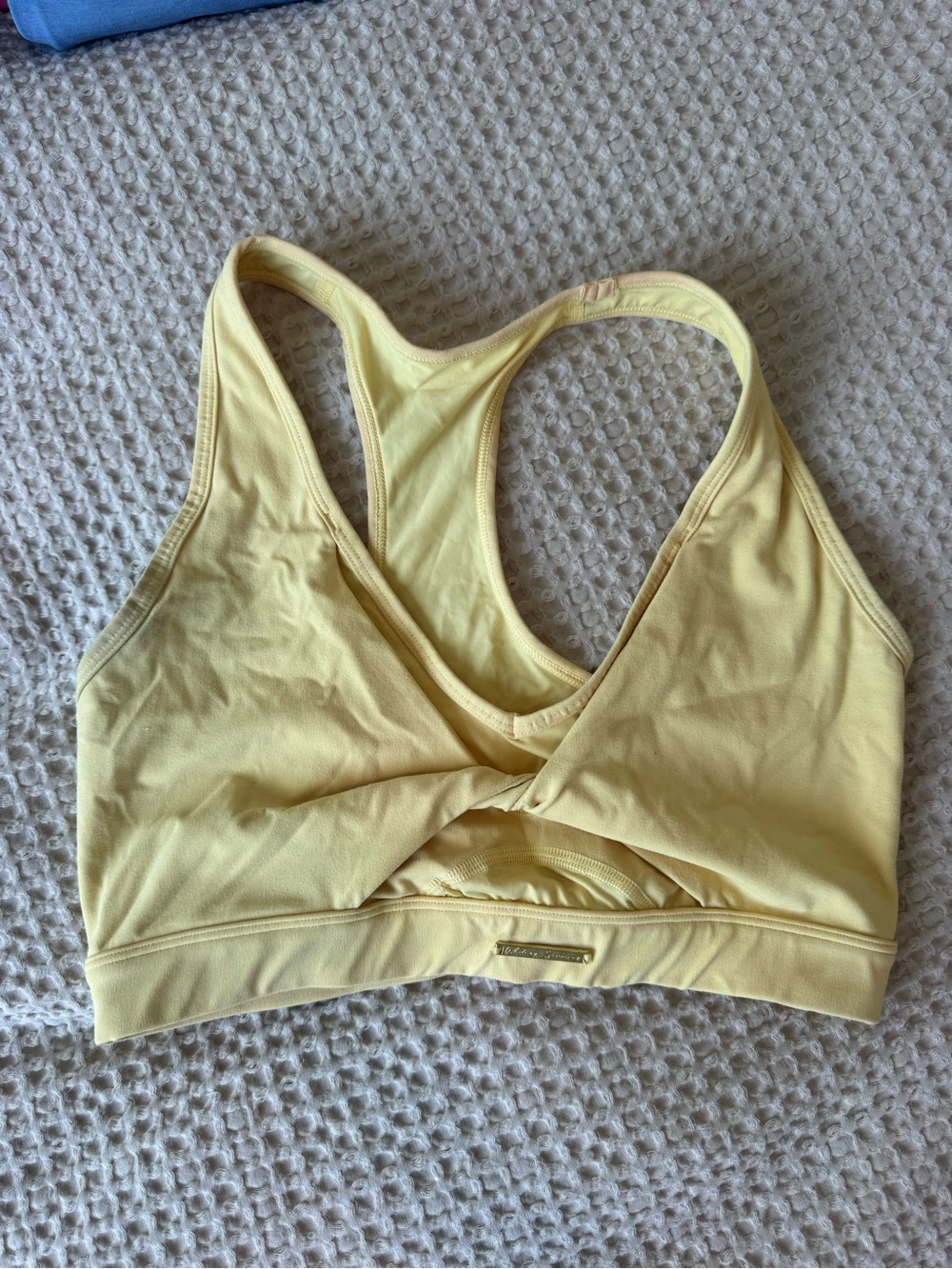 Gymshark Whitney Simmons bra